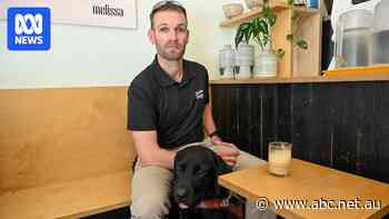Diners with guide dogs turned away from venues as campaign seeks change
