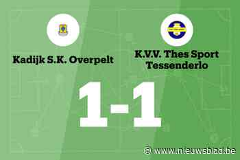 THES Sport B beëindigt de zegereeks van Kadijk