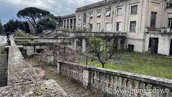 Quel che resta del Forlanini. Vi porto nell'ex ospedale che il governo Meloni vuole regalare al Vaticano