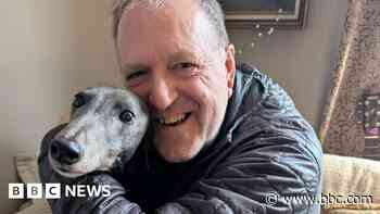 'Greyhound racing cost my pet its leg - I back the ban'