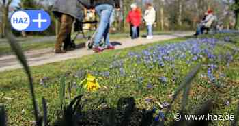 Die schönsten Spaziergänge in Hannover: Von der Eilenriede bis zum Kronsberg