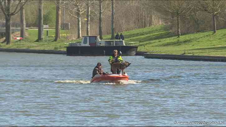 Lelystad - Dode katten in berucht Gelderse Diep houden politie nog altijd bezig: 'Ingewikkelde zaak'