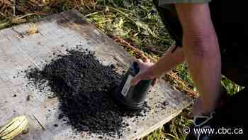 Can this 'burnt toast'-like substance be a key tool in the fight against climate change?