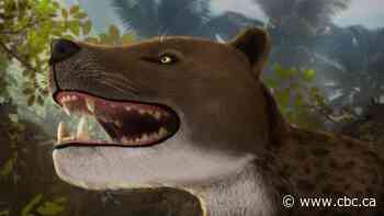 Newly discovered ancient apex predator had knife-sharp teeth and bone-crushing jaws