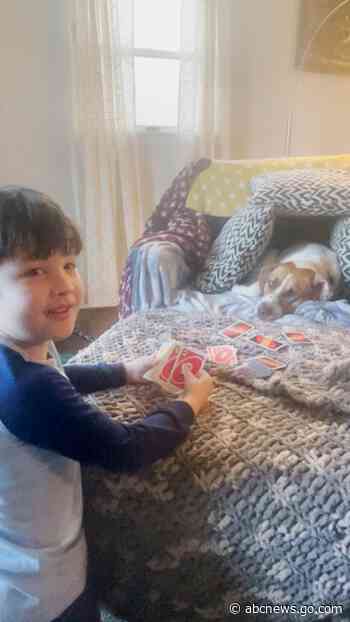 WATCH:  5-year-old plays Uno with family dog: 'Got you, Kev!'