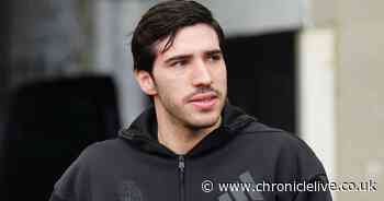 Newcastle early team news hints - Sandro Tonali hint, Martin Dubravka decision, Will Osula clue