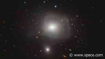 Astronomers discover misshapen galaxy is a cosmic predator that bears 'scars' from its last meal (photo)