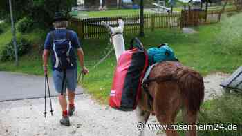 Wie sieben flauschige Therapeuten Jugendlichen auf ihrem Weg zurück in den Alltag helfen