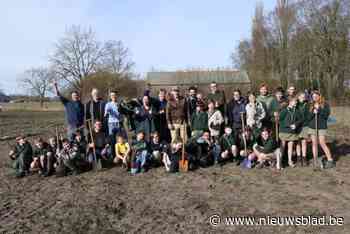 Boomplantactie betekent mijlpaal in de ontwikkeling van het Bolleakkerbos