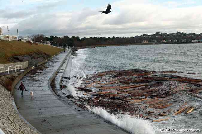 Gusts reaching 80 km/h expected in Victoria, parts of Metro Vancouver