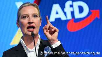 Nach „Trump-Playbook“: AfD-Fans nach Bundestagswahl beleidigt