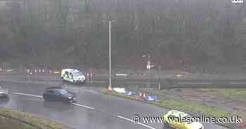 Car crashes off A470 and hits tree as two people taken to hospital