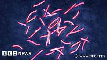 AI cracks superbug problem in two days that took scientists years