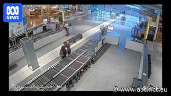 'Extremely bizarre': Woman fined for running onto Canberra Airport tarmac