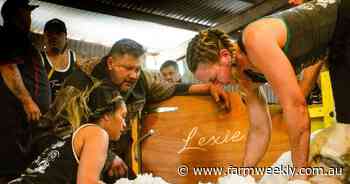 Successful shearing World Record with a distinctly female focus set in WA