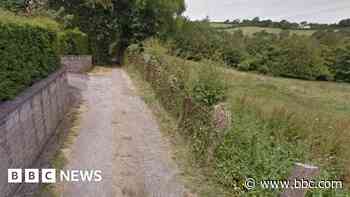 Toad spotters asked to help with sex assault case