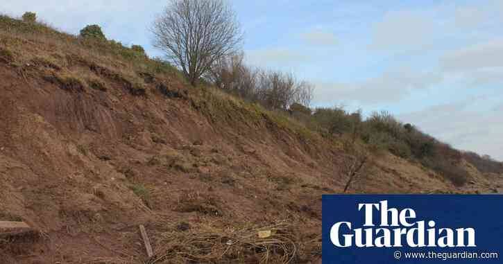 Country diary: The earth moved – taking everything with it | Jennifer Jones