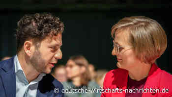 Grünen-Parteichefs wollen nach Wahl im Amt bleiben