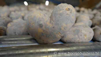 Nederland valt uit de toon in DCA EU-4 Potato Index