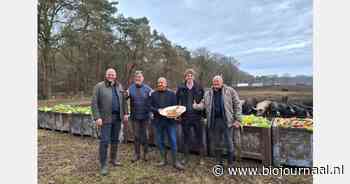 Udea introduceert: 'Het meest Brabantse worstenbroodje'