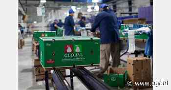 "Verkeerde bewaartechniek tast perenconsumptie aan"