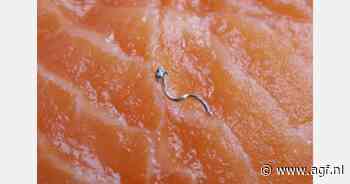 "Voorkom product recalls met een juist geconfigureerde metaaldetector"