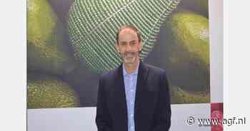 EU blijft belangrijkste markt voor Zuid-Afrikaanse avocado's