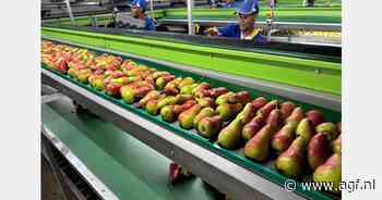 "Zuid-Afrikaanse blush peren gewild in China"