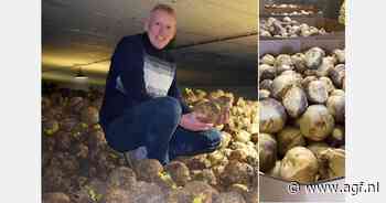 "Knolselderij als vleesvervanger en koolraap als new kid on the block"