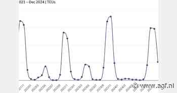 Export van Braziliaanse druiven daalt in januari, maar +18% ten opzichte van vorig jaar