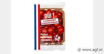 Tomatentelers lanceren verpakking om Franse herkomst te promoten