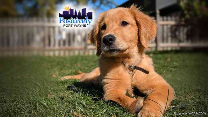 Finding Hope is Positively Fort Wayne