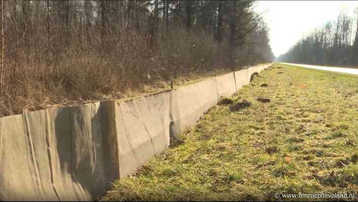 Noordoostpolder - Scherm langs bos moet honderden padden redden tijdens paddentrek