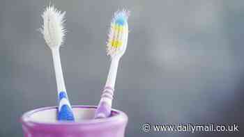 Scientist reveals the DISGUSTING mistake too many of us continue making with our toothbrushes