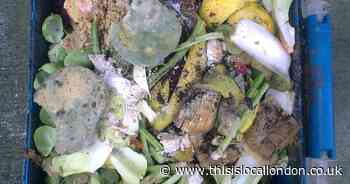 New food waste collection service in Havering 'will cost millions to set up'