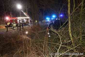 Uit de hand gelopen nieuwjaarsreceptie levert vrouw een alcoholslot op: “U bent de kampioen van de zitting”