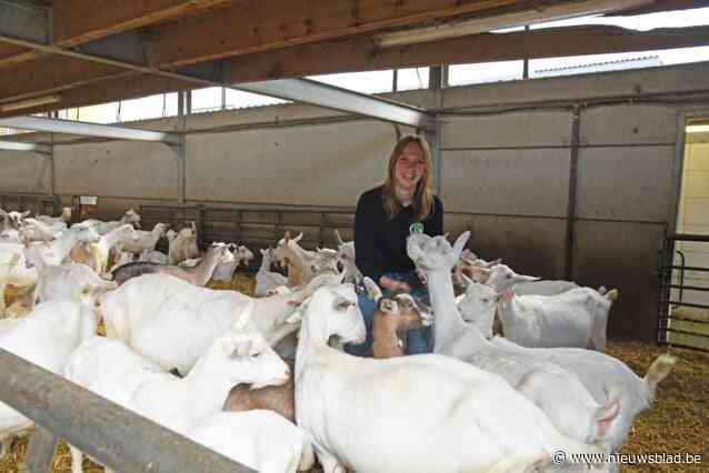 Lammetjes knuffelen op geitenboerderij even populair als festival: tickets in mum van tijd de deur uit