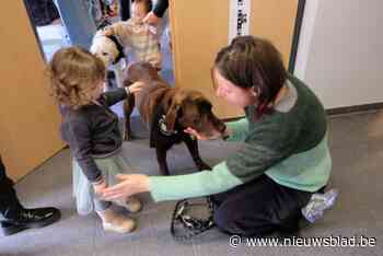 Kinderen leren omgaan met hondjes dankzij bezoek van therapiehonden