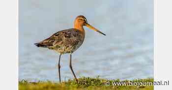 Vogelvriendelijke Zuivelweken komen eraan
