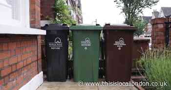 'Foxes will have a field day': Pest and stink fears over black bin collection cut