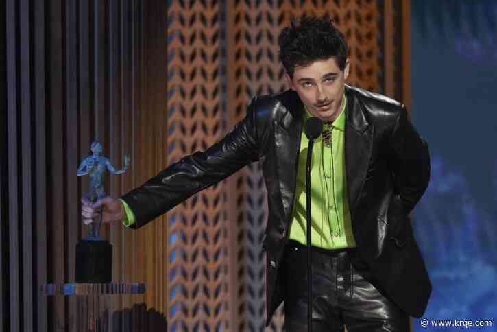 SAG Awards: Who won, and what does it mean for Oscar predictions?