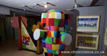 Inside Seven Stories' Elmer exhibition with 'perfect' Instagram moment that's a half term must