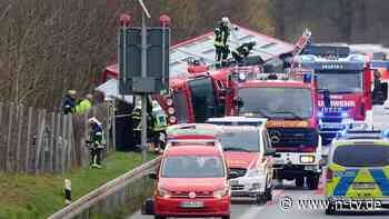 Einige tote Tiere nach Unfall: Schweine entwischen aus umgekippten Tiertransporter auf A2