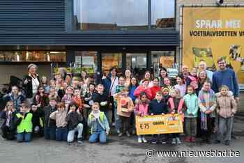 Zes klassen krijgen winkelbudget dankzij zelf geschreven gedicht