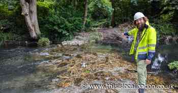 Two investigations underway after 'completely unacceptable' Wandle diesel spill