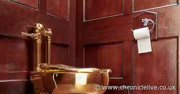 Gold toilet worth £2.8m stolen from former home of Winston Churchill in 'audacious raid', court told