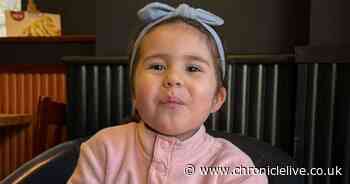 She was 'the sweetest, kindest, most generous little girl' - Parents of three-year-old girl killed in crash pay tribute to their daughter