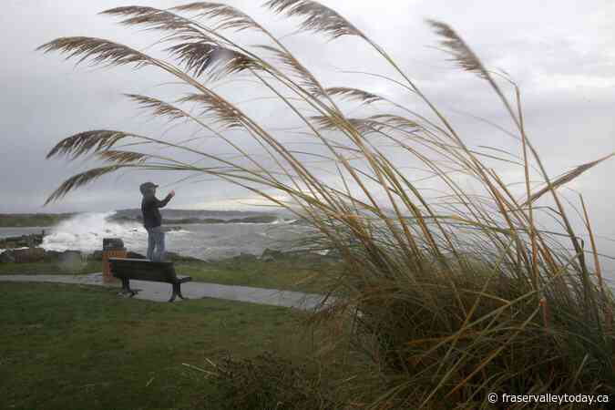 Environment Canada warns winds on Vancouver Island, Metro Vancouver may cause damage