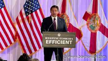 Gov. DeSantis says he supports Florida version of DOGE