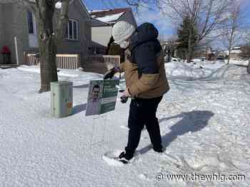 Kingston provincial election candidates wage a winter campaign